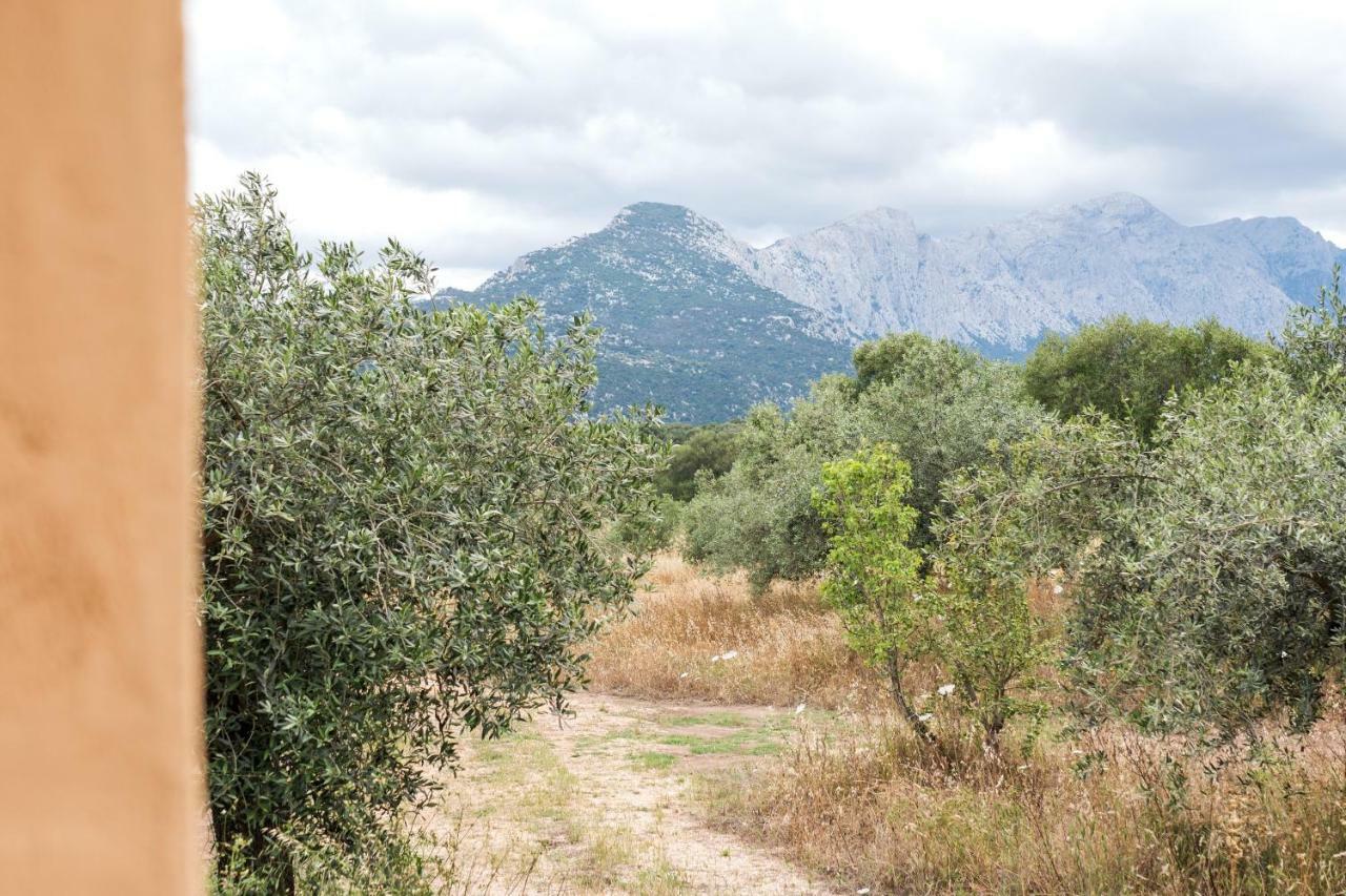 S'Ulumu Vendégház Dorgali Kültér fotó