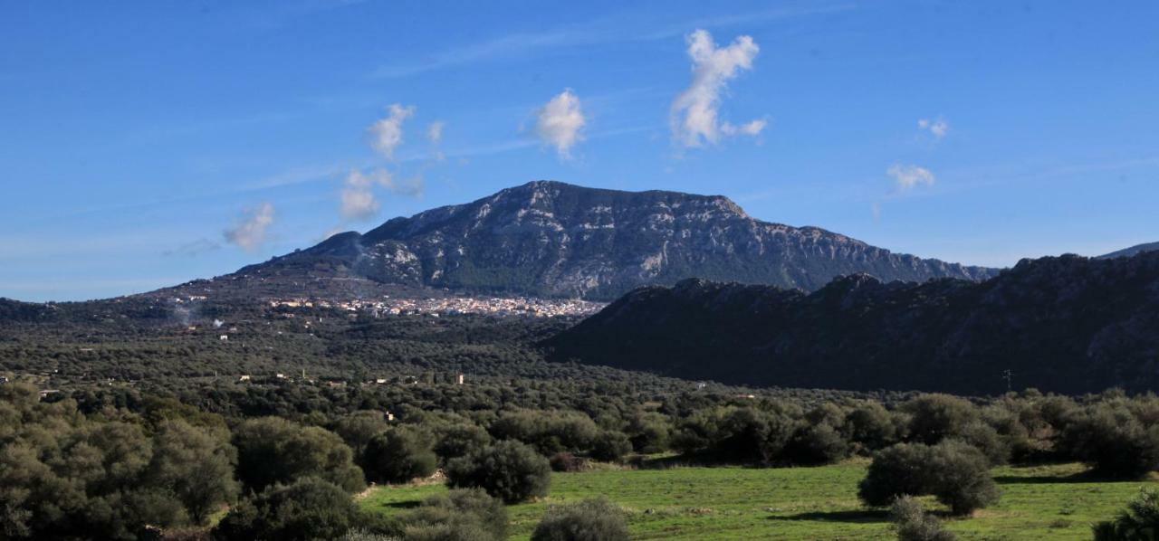 S'Ulumu Vendégház Dorgali Kültér fotó
