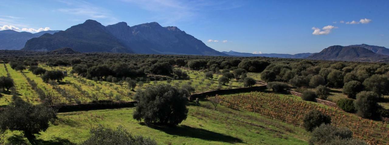 S'Ulumu Vendégház Dorgali Kültér fotó